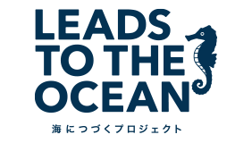 LEADS TO THE OCEAN